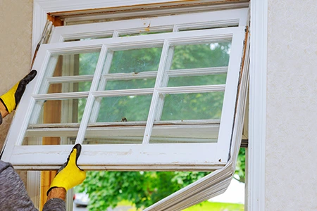 Window Replacement in Orlando, FL